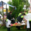 Vidovska nedelja 2010_030